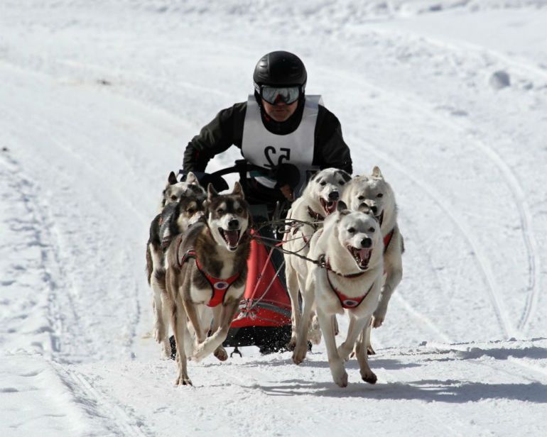 winter-adapted-activities-body-1.jpg winter-adapted-activities-body-1.jpg