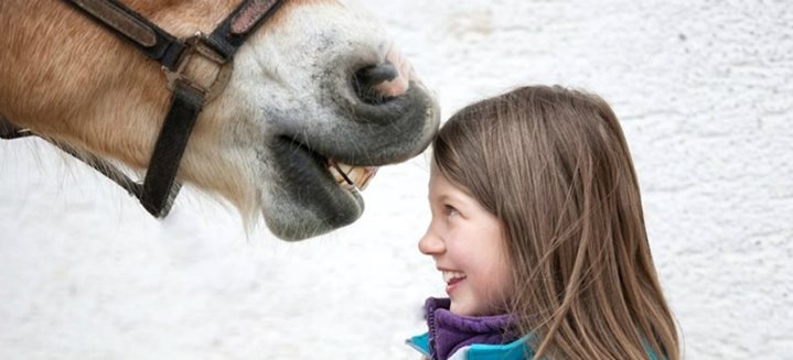 The Therapeutic Background of Equine Therapy