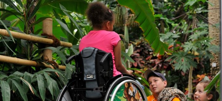 Adapted parks for children with disabilities