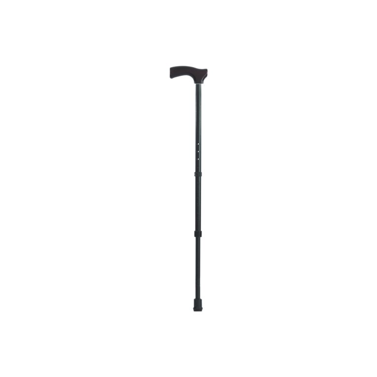 Cane, Plastic Handle